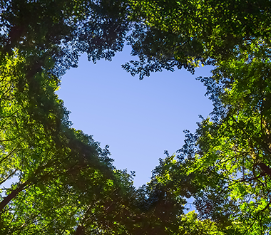 How hotels and restaurants can have a zero-waste celebration of Valentine's Day 2026